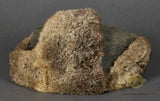 WWII German Army Rabbit Fur Cap